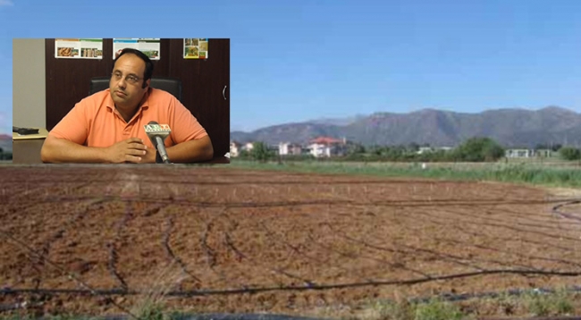 Διευκρινήσεις για τη λειτουργία του δημοτικού λαχανόκηπου στην Τρίπολη