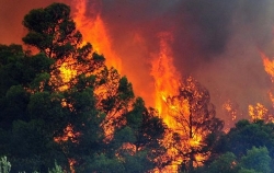 Υψηλός κίνδυνος πυρκαγιάς για τον Δήμο Γορτυνίας