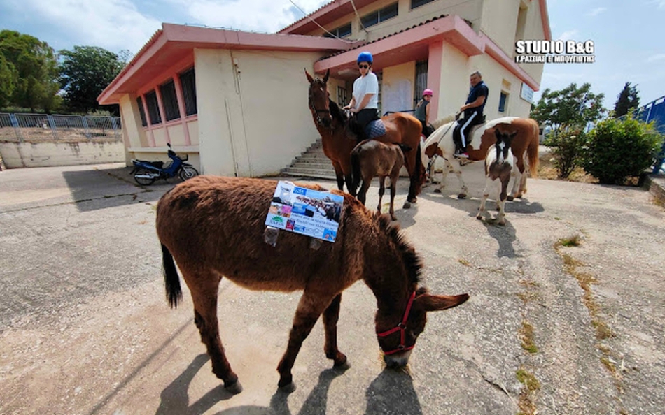 Αγρότης πήγε σε εκλογικό τμήμα με άλογα και γαϊδούρια στο Ναύπλιο (vid)