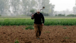ΟΓΑ: Ειδοποιητήρια για «ξεχασμένες» οφειλές σε 60.000 αγρότες