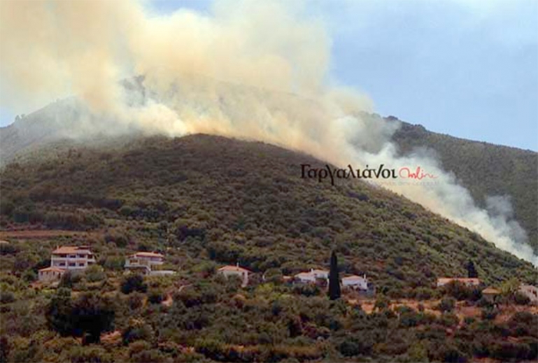 Πυρκαγιά σε δασική έκταση στην περιοχή Άνω Μπλεμενιάνοι του δήμου Τριφυλίας Μεσσηνίας