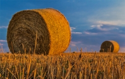 Το μέλλον της γεωργίας και των τροφίμων - για μια ευέλικτη, δίκαιη και βιώσιμη Κοινή Γεωργική Πολιτική