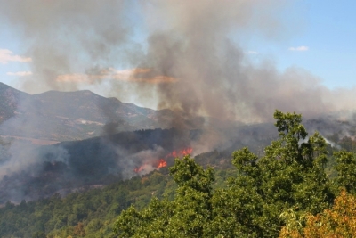 Μάνη: Σε 6 εστίες επιμένει η καταστροφική πυρκαγιά