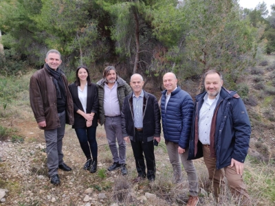 Δήμος Λουτρακίου – Περαχώρας – Αγίων Θεοδώρων: Σε εξέλιξη οι εργασίες καθαρισμού των δασών
