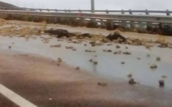Έχει κλείσει από πέτρες και χώματα η εθνική οδός στο Ραψωμμάτη