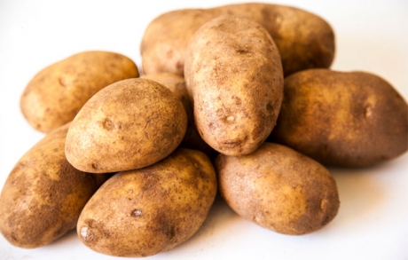 Με σοβαρά προβλήματα στην παραγωγή ξεκίνησε η συγκομιδή πατάτας στη Μεσσηνία