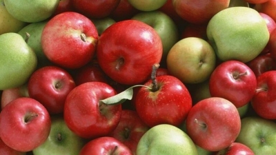 Δωρεάν διανομή φρούτων (μήλα) σε ευπαθείς ομάδες του Δήμου Μεγαλόπολης