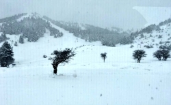 Σφοδρή χιονόπτωση στο Χιονοδρομικό Κέντρο Μαινάλου (video)
