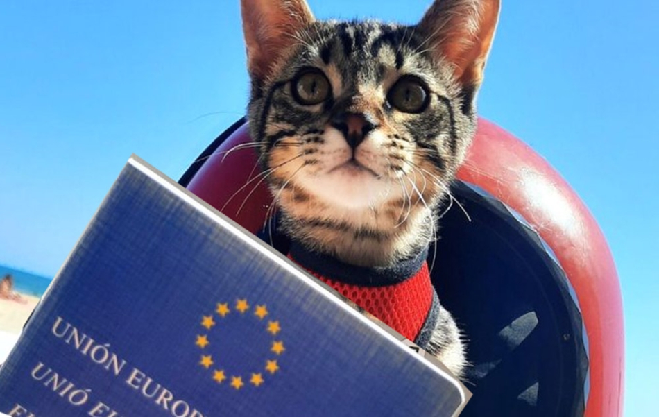 Ταξιδεύοντας με κατοικίδια και άλλα ζώα στην ΕΕ - Οι κανόνες της ΕΕ