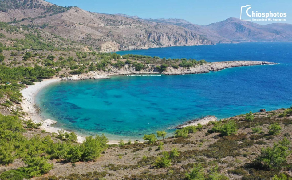 Παραλία Τηγάνι: Μία από τις ομορφότερες της δυτικής Χίου με γαλαζοπράσινα νερά (ΒΙΝΤΕΟ & ΦΩΤΟ)