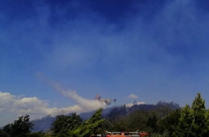 Σκληρή μάχη με τις φλόγες στην Δροσοπηγή της Ανατολικής Μάνης  (pics)