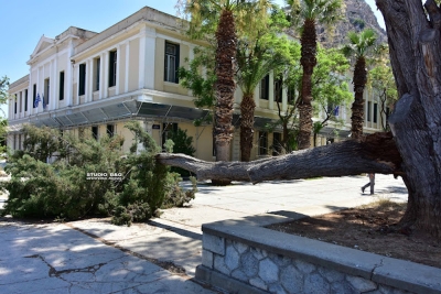 Έπεσε μεγάλη κλάρα δέντρου στην Πλατεία Δικαστηρίων στο Ναύπλιο (vid)