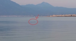 Κόρινθος: Πανικό προκάλεσε καρχαρίας σε παραλία (video)