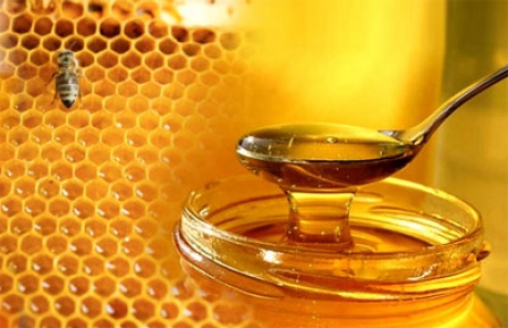 Ανακοίνωση Κέντρου Μελισσοκομίας Πελοποννήσου