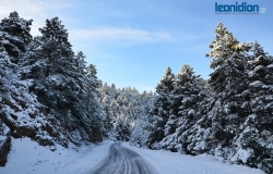 Τα πρώτα χιόνια του φετινού χειμώνα στη Νότια Κυνουρία! (pics)