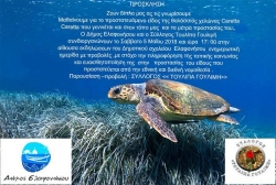 Ενημερωτική Ημερίδα για τη θαλάσσια χελώνα Caretta Caretta