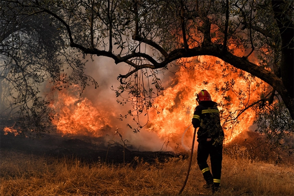 Κινητοποίηση της Πυροσβεστικής Ναυπλίου για φωτιά στα Ίρια Αργολίδας