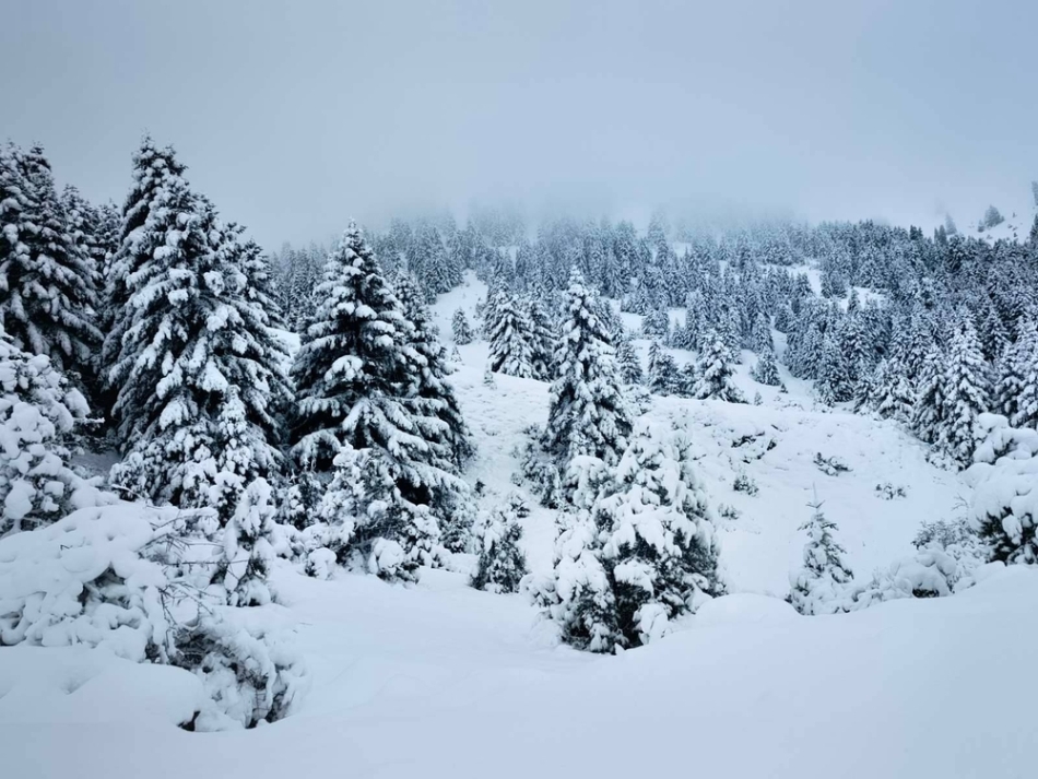 Χιονοδρομικό Κέντρο Μαινάλου: Μαγευτικές εικόνες - Ανακοινώσεις
