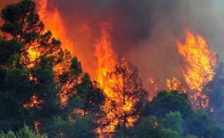 Φωτιά σε χαράδρα κοντά στην εθνική οδό Κορίνθου Τριπόλεως