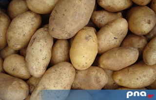 Στήριξη ζητούν οι παραγωγοί πατάτας και μοσχοφίλερου στην Αρκαδία