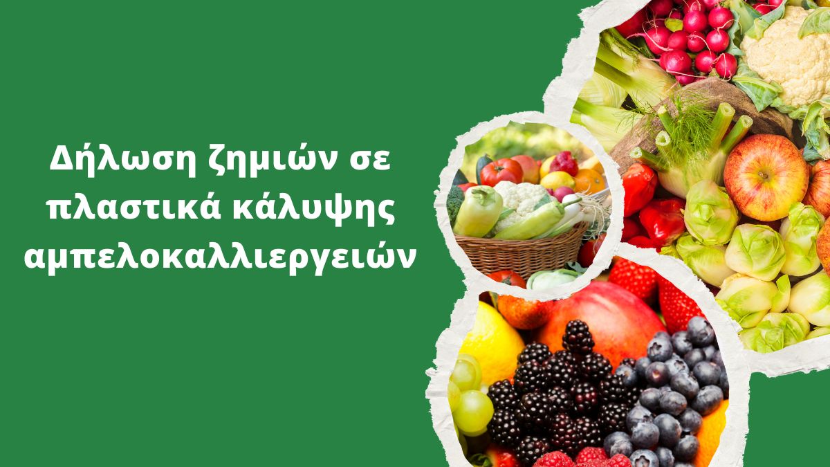 ζημιές σε αμπελοκαλλιέργειες