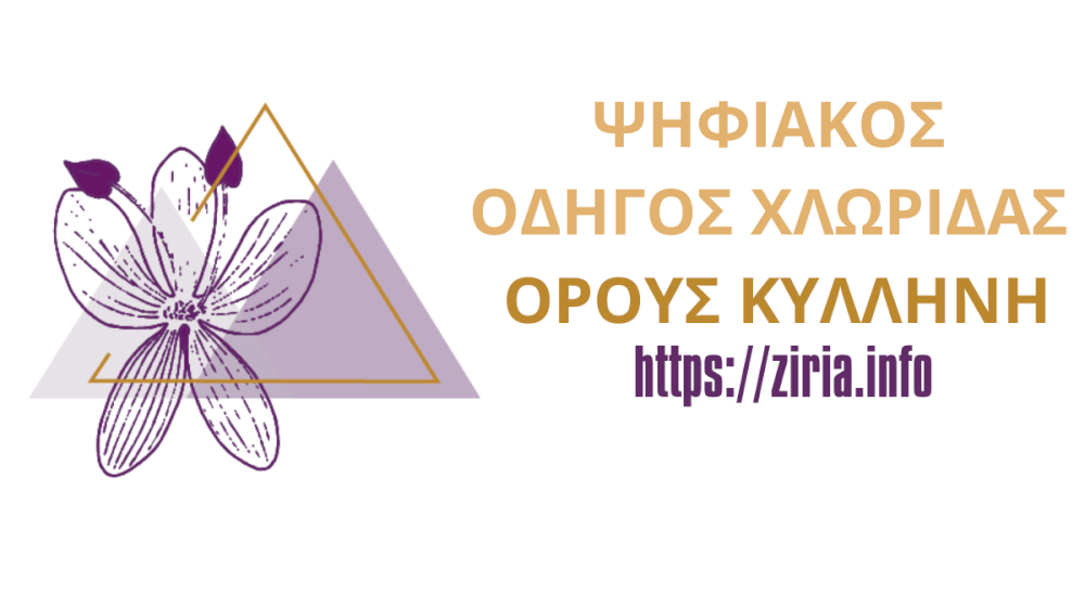 neos-psifiakos-odigos-chloridas-tou-orous-kyllini