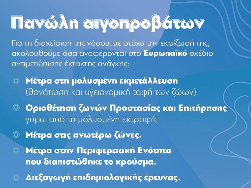emfanisi-3is-estias-panolous-mikron-mirykastikon-stin-pe.-korinthias