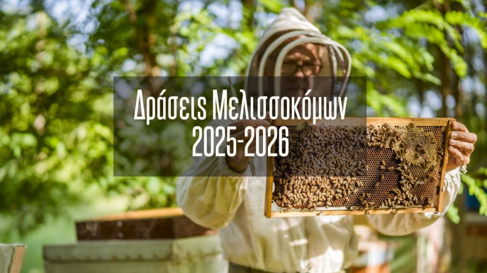 draseis-gia-symmetochi-melissokomon-–-etos-2025