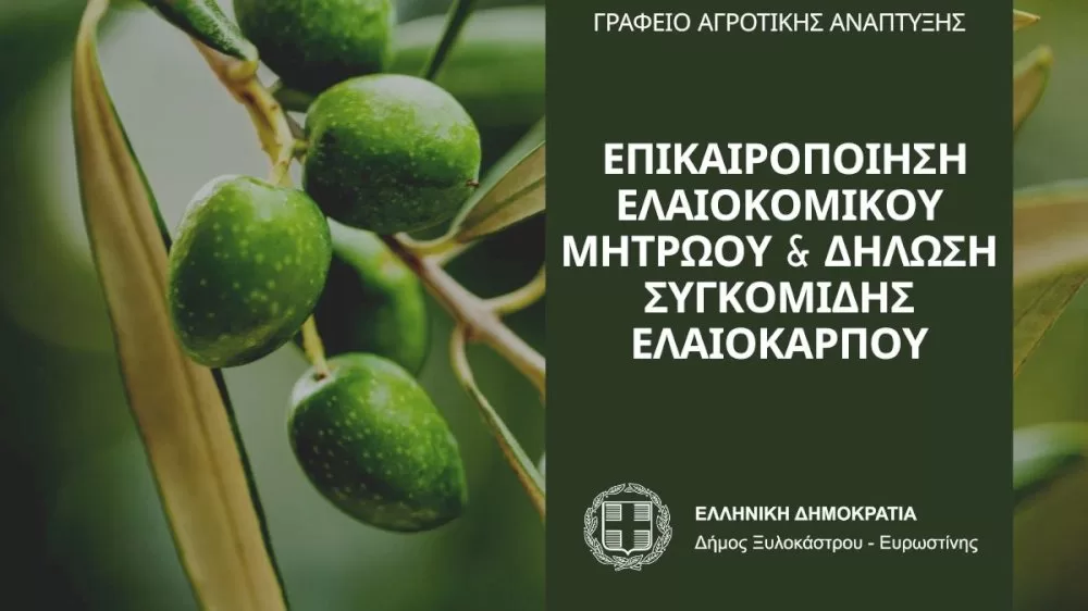 enimerosi-gia-tin-epikairopoiisi-elaiokomikou-mitroou-kai-dilosi-sygkomidis-elaiokarpou-2025–2026