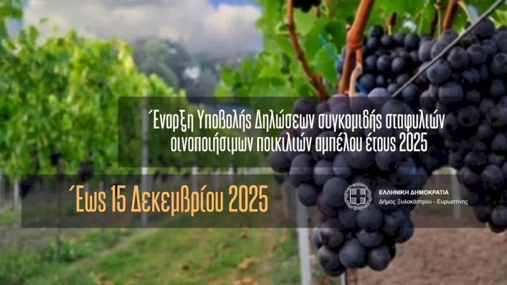 enarksi-ypovolis-diloseon-sygkomidis-stafylion-oinopoiisimon-poikilion-ampelou-etous-2025