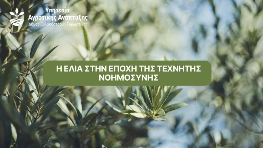 i-elia-stin-epochi-tis-technitis-noimosynis