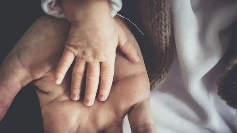 epidoma-paidiou:-pote-anoigei-i-platforma-a21-gia-tin-ypovoli-aitiseon