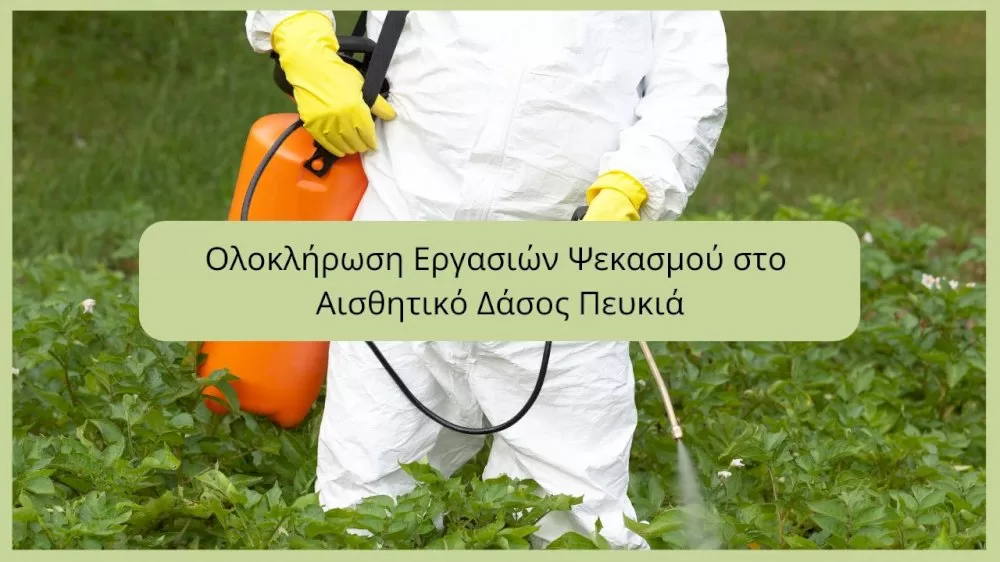 oloklirosi-ergasion-psekasmou-sto-aisthitiko-dasos-pefkia