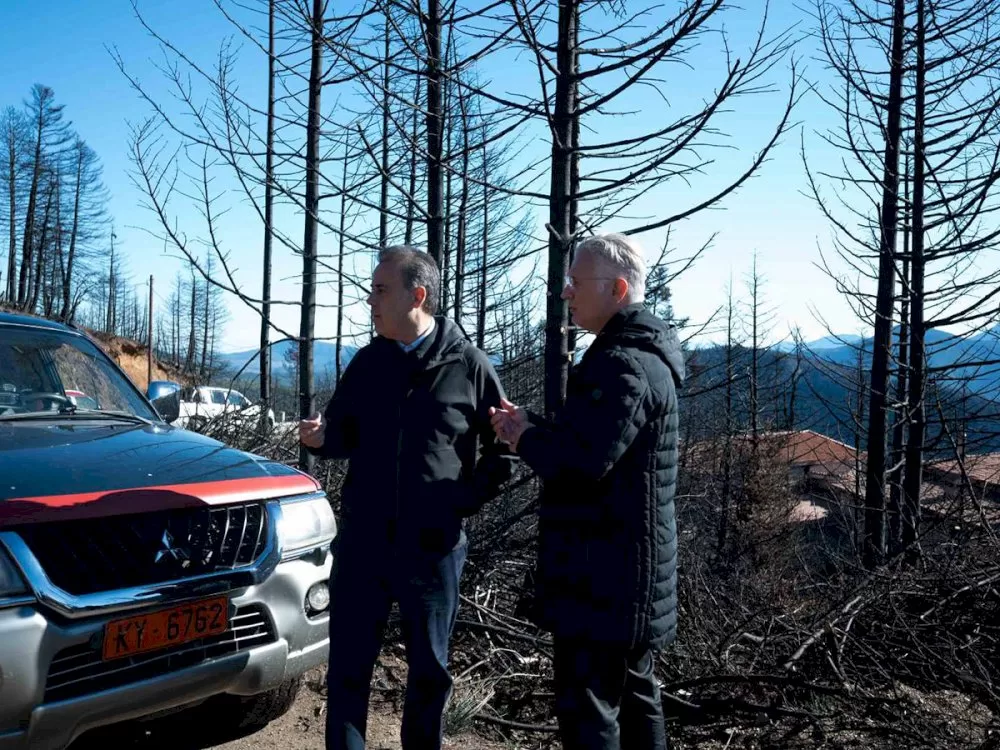 dimitris-ptochos:-otan-synergazomaste,-petychainoume-apotelesmata-pou-prin-emoiazan-aprosita-paralavi-antiplimmyrikon-kai-antidiavrotikon-ergon-sto-feneo