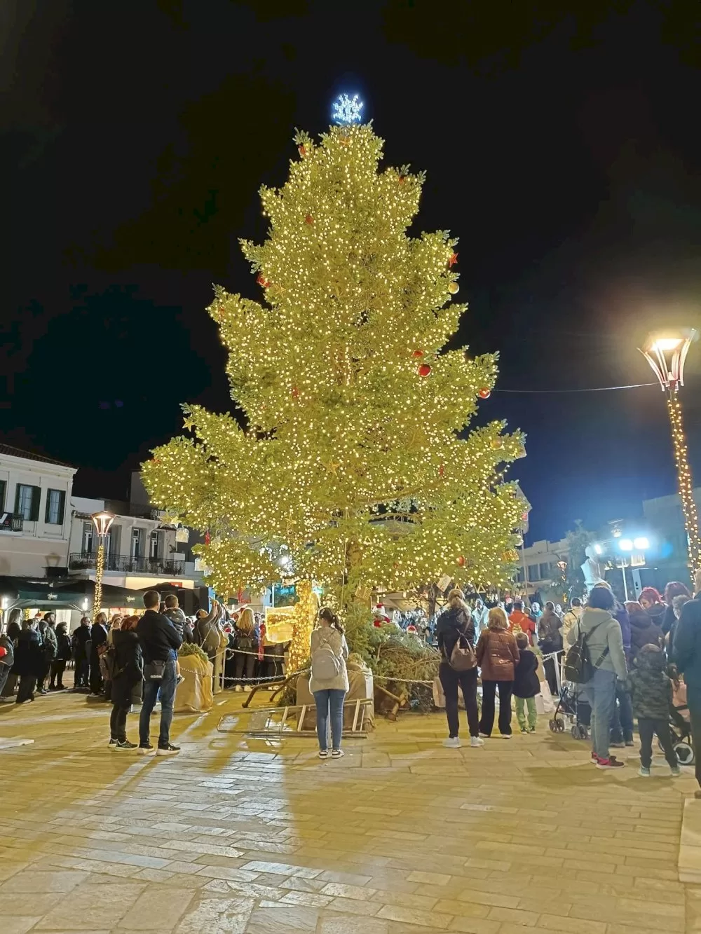 fotagogithike-apo-ta-paidia-ton-kdap-to-christougenniatiko-dentro-stin-anaplasmeni-plateia-23is-martiou