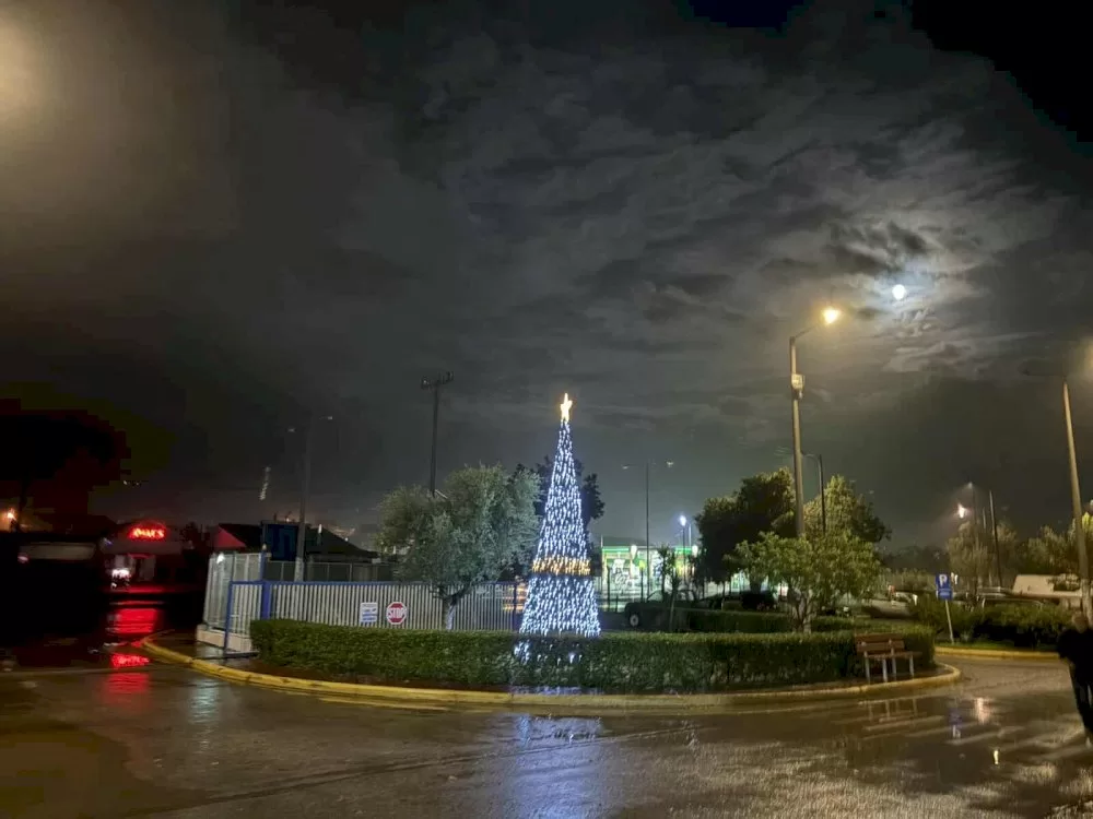 fotagogithike-to-dentro-tis-dioklis-ae-sto-viotechniko-parko-kalamatas