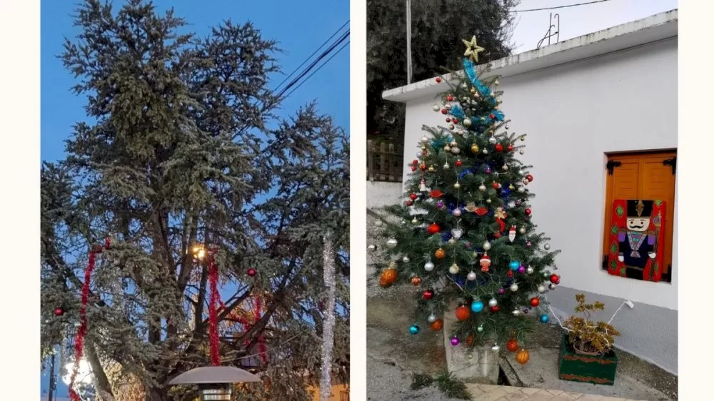 christougenniatikes-fotagogiseis-se-melissi-&-rozena-–-stolismos-sta-mentourgianika!