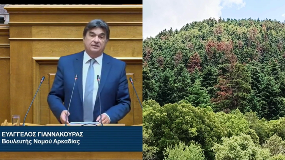 Ερώτηση στη Βουλή για την εκτεταμένη ξήρανση των ελάτων σε Μαίναλο και Πάρνωνα κατέθεσε ο Βουλευτής Αρκαδίας του ΠΑΣΟΚ, Ευάγγελος Γιαννακούρας